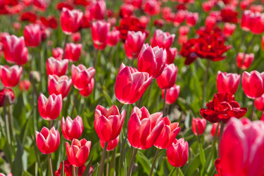 Similar image 637098