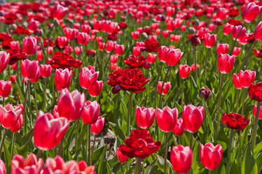 Similar image 637099