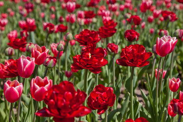 Similar image 637101