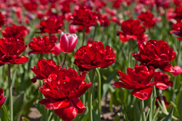 Similar image 637103