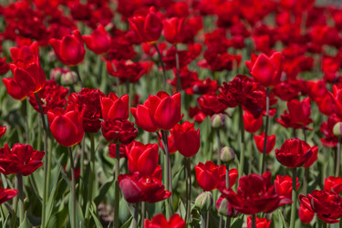 Similar image 637105