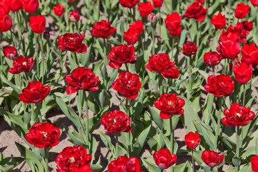 Similar image 637106