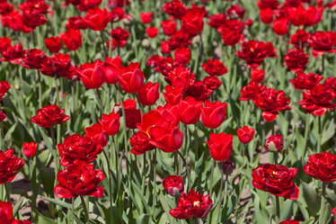 Similar image 637107