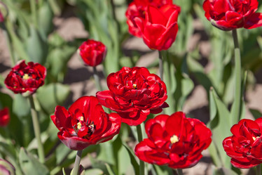 Similar image 637108