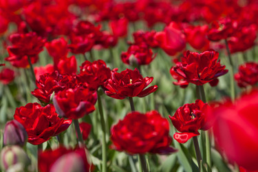 Similar image 637109