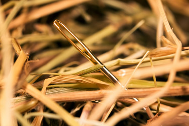 Similar image 637149