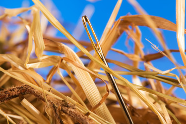 Similar image 637151