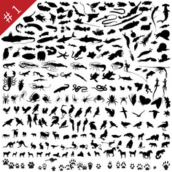 Similar image 637167