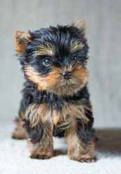 Similar image 637168