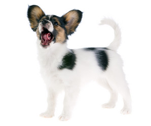 Similar image 637174