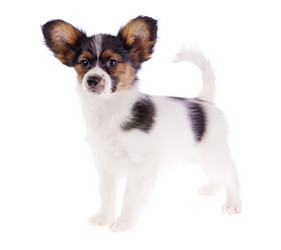 Similar image 637175