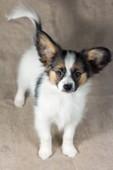 Similar image 637178