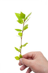 Similar image 637186