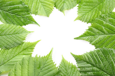 Similar image 637204