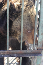 Similar image 637217