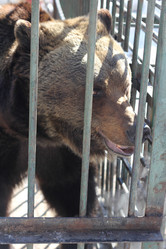 Similar image 637218