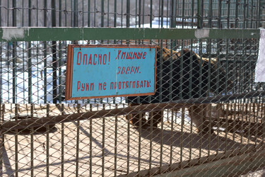 Similar image 637219