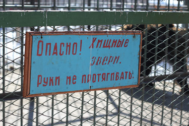 Similar image 637220