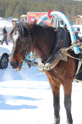 Similar image 637221