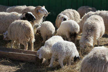 Similar image 637233