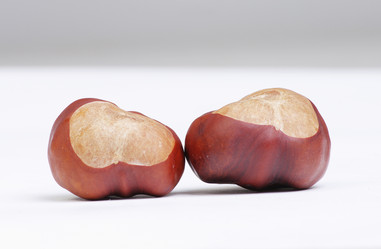 Similar image 637258