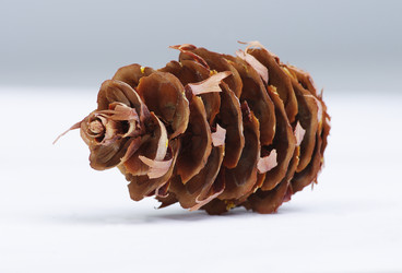 Similar image 637260