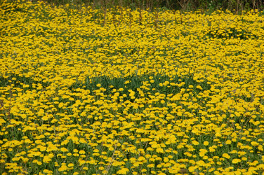 Similar image 637265