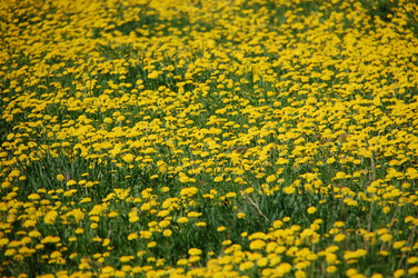 Similar image 637267