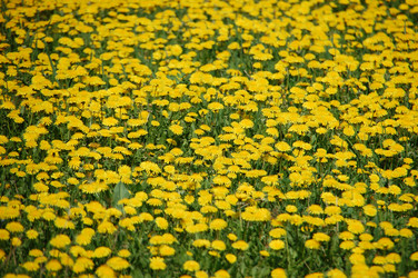 Similar image 637269