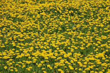 Similar image 637270