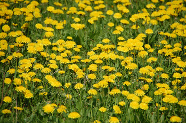 Similar image 637272