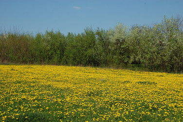 Similar image 637273