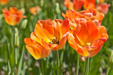 Similar image 637275