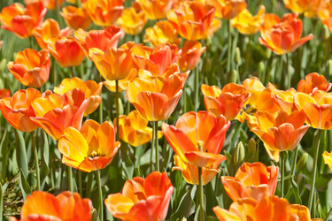 Similar image 637277