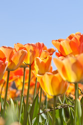 Similar image 637279