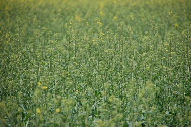 Similar image 637281