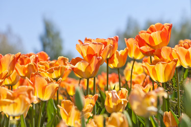 Similar image 637282