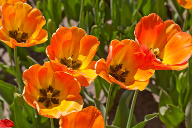 Similar image 637286