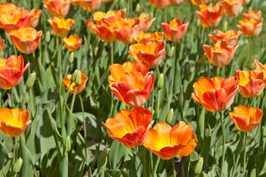 Similar image 637285