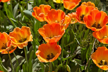 Similar image 637290