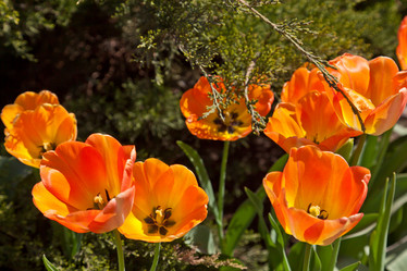 Similar image 637289