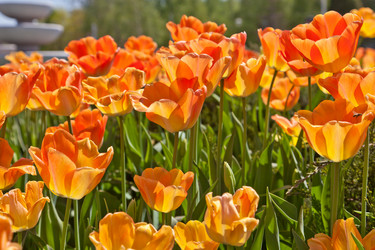 Similar image 637291