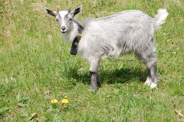 Similar image 637294