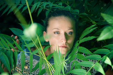 Similar image 637297