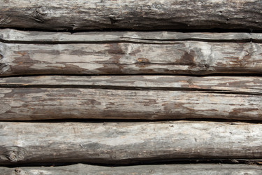 Similar image 637302