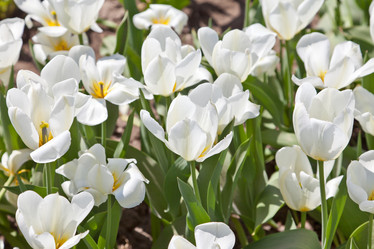 Similar image 637312