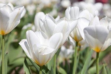 Similar image 637315