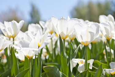 Similar image 637316