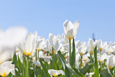 Similar image 637318