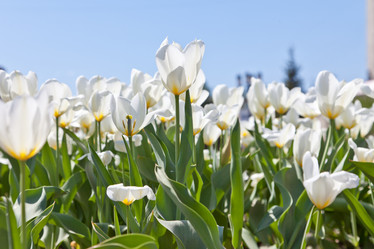 Similar image 637319